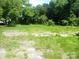 Large, overgrown backyard featuring lush green grass and mature trees at 418 W Cemetery St, Salisbury, NC 28144