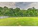 Large back yard is fenced with luscious green grass and tree line at 5011 Blue Stream Ln, Indian Trail, NC 28079