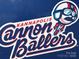 Kannapolis Cannon Ballers team sign with the team logo and for sale sign at 318 Chestnut Ave, Kannapolis, NC 28081