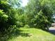A vacant land with trees at 421 W Cemetery St, Salisbury, NC 28144