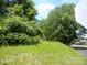 A vacant land with trees at 421 W Cemetery St, Salisbury, NC 28144