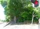 Street view with trees at 421 W Cemetery St, Salisbury, NC 28144