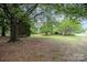 Wide, verdant yard with mature trees, offering privacy and scenic views of the charming home at 4630 Woodleaf Rd, Salisbury, NC 28147