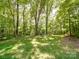 Expansive backyard with mature trees, offering a private, serene setting at 4715 Lenden Hall Ct, Gastonia, NC 28056