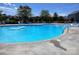 Community pool with clear blue water, lounge chairs, and mature trees creating a relaxing atmosphere at 8406 Flint Hill Dr, Charlotte, NC 28273