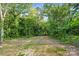 Beautiful view of a spacious backyard with natural landscaping and mature trees offering shade at 253 Hall Nw Ave, Concord, NC 28027
