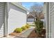 Landscaped walkway between homes features manicured bushes and mulch at 284 Garnet Ct, Fort Mill, SC 29708