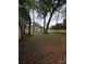 Expansive backyard with a newly installed wooden fence at 3700 Denson Pl, Charlotte, NC 28215