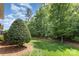 Lush green backyard with manicured lawn and mature landscaping at 4409 Winder Trl, Gastonia, NC 28056