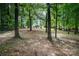 Expansive wooded backyard perfect for recreation and relaxation at 5625 Linda Vista Ln, Charlotte, NC 28216