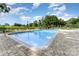 Community swimming pool with lounge chairs surrounded by lush greenery, perfect for relaxation at 7026 Quail Hill Rd, Charlotte, NC 28210