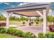 Community pavilion offering shade and several barbecue grills for outdoor gatherings at 11951 Old Statesville Rd, Huntersville, NC 28078