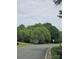 View of a street lined with lush green trees, showcasing the neighborhood's natural beauty at 15494 Donnington Dr, Charlotte, NC 28277