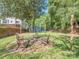 Lawn with fire pit, Adirondack chairs, and wooden privacy fence at 1720 Chatham Ave, Charlotte, NC 28205