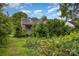 View of the house from the backyard showing trees and untended overgrowth at 2308 Vanderbilt Rd, Charlotte, NC 28206