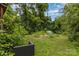 Overgrown backyard with mature trees, and shed at the rear of the property at 2308 Vanderbilt Rd, Charlotte, NC 28206