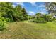Unmaintained backyard featuring overgrown vegetation, freshly cut grass, and a clear blue sky at 2308 Vanderbilt Rd, Charlotte, NC 28206