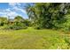 Backyard with uncut grass and overgrown vegetation surrounding the edges at 2308 Vanderbilt Rd, Charlotte, NC 28206