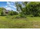 Large backyard with freshly cut grass and mature trees, perfect for outdoor activities at 2308 Vanderbilt Rd, Charlotte, NC 28206