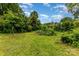Backyard featuring overgrown vegetation, freshly cut grass, and a clear blue sky at 2308 Vanderbilt Rd, Charlotte, NC 28206