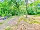 Cleared lot surrounded by mature trees offering privacy and seclusion for your dream property at 251 Hall Nw Ave, Concord, NC 28027