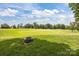 Picturesque golf course view featuring lush greens and a beautifully designed landscape on a sunny day at 11909 Cupworth Ct, Huntersville, NC 28078