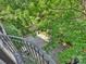 Picturesque view of the landscaped backyard from a balcony at 1522 High St, Charlotte, NC 28211