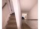 Carpeted staircase leading to the upper or lower levels of the house at 16039 Simril Ct, Charlotte, NC 28278
