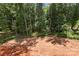 View of cleared backyard area surrounded by forest at 6782 Kingfisher Ct, Denver, NC 28037