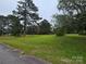 Large lot offers space and potential, surrounded by mature trees at 116 E Graves St, Candor, NC 27229