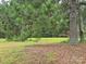 Property featuring open green space with tall pine trees, offering shade and beauty at 116 E Graves St, Candor, NC 27229