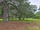 Pine trees with cones accent the property, offering shade and natural beauty at 116 E Graves St, Candor, NC 27229