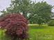 A yard with a red maple tree at 116 E Graves St, Candor, NC 27229