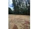 A spacious backyard is prepared with straw and nestled among mature trees at 1987 Robert Rufty Ln, Catawba, NC 28609