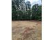 Large backyard featuring tilled dirt and straw covering for growing new grass, backing up to woods at 1987 Robert Rufty Ln, Catawba, NC 28609