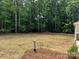 A spacious backyard is covered in straw and backing up to a green wooded area at 1987 Robert Rufty Ln, Catawba, NC 28609
