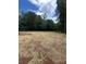 Spacious backyard with trees and a large cleared area prepared with straw for new grass at 1987 Robert Rufty Ln, Catawba, NC 28609