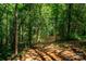 Dirt path winding through a lush green backyard landscape with mature trees at 5258 E Bandys Cross Rd, Catawba, NC 28609