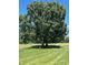 Picturesque property featuring a mature tree standing prominently in a large, well-maintained grassy lawn at 765 York Institute Rd, Hiddenite, NC 28636