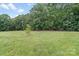 Expansive backyard featuring lush green grass and mature trees providing a serene and private setting at 1533 Ohara Plantation Ct, Dallas, NC 28034