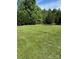 Large backyard with luscious green grass and trees at 667 Blossom Hill Rd, Lincolnton, NC 28092