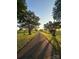 Long driveway lined with trees, leading to a peaceful, secluded property at 7204 E 218 Hwy, Marshville, NC 28103