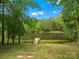 Scenic view of a serene pond with a wooden dock and steps at 1010 Arabian Farm Rd, Clover, SC 29710