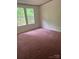 Bedroom features plush carpet, neutral walls, and two large windows with views of the outdoor greenery at 4006 Hillview Dr, Shelby, NC 28152