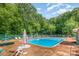 Community pool surrounded by trees and lounge chairs at 4924 Farm Pond Ln, Charlotte, NC 28212
