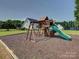 Playground with slide and climbing structure, a fantastic backyard amenity for Gathering fun at 736 Creekbridge Dr, Rock Hill, SC 29732