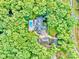 Aerial view of a secluded home surrounded by mature trees with a private pool and lush landscaping at 10300 Sweetleaf Pl, Charlotte, NC 28278