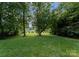 Spacious, well-maintained backyard with mature trees and lush green grass at 1160 S Kings Dr, Charlotte, NC 28207