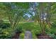Beautiful backyard featuring lush greenery, mature trees, and a well-manicured lawn at 3506 Cardiff Ln, Matthews, NC 28104