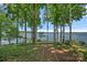 Serene backyard with a path leading to the lake, shaded by mature trees offering privacy and tranquility at 392 Stonemarker Rd, Mooresville, NC 28117